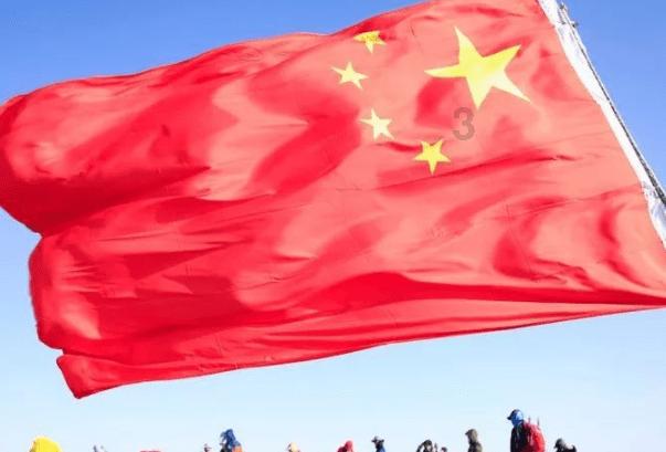 漂亮鹦鹉救援