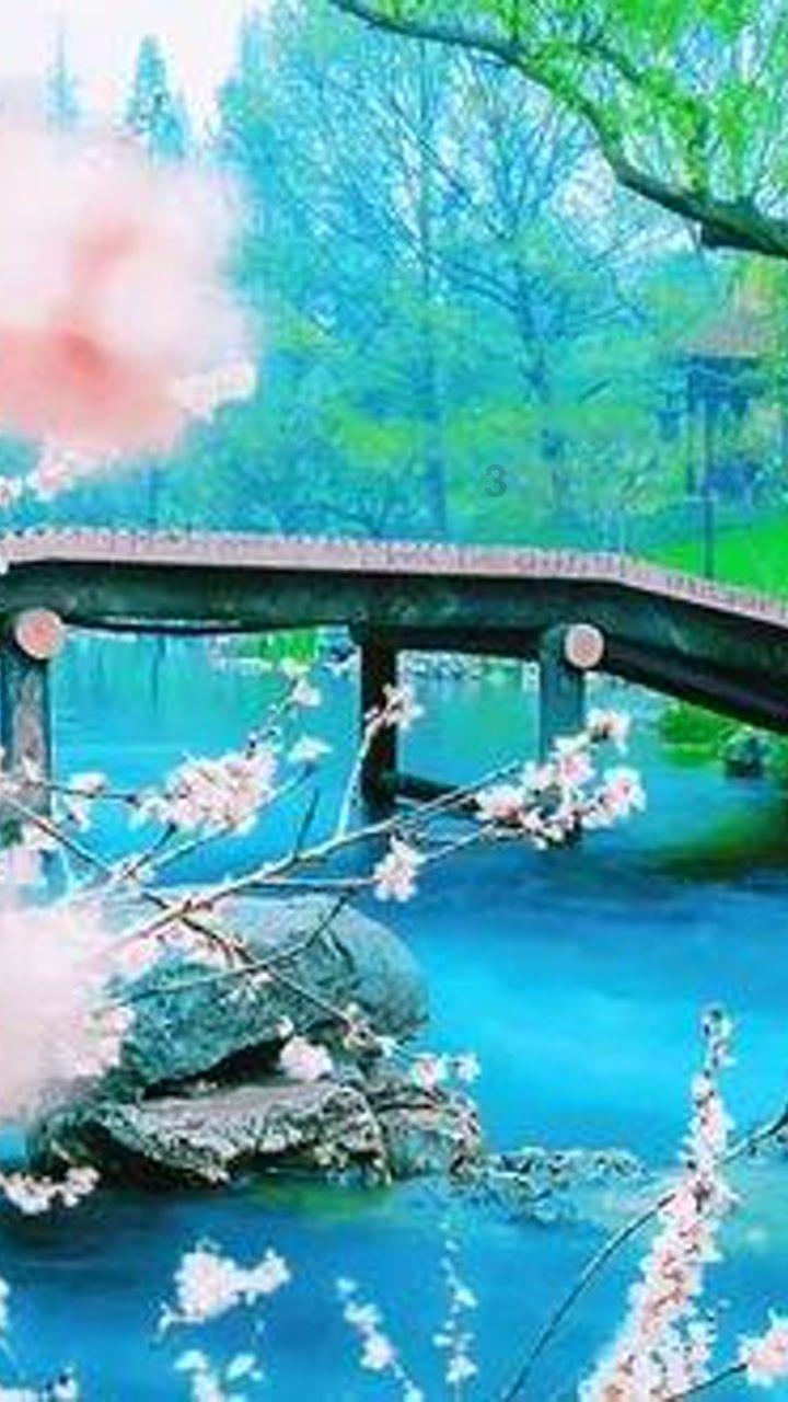 【中央媒体关注山西】凝心聚力谱新篇 奋进山西赢赞誉